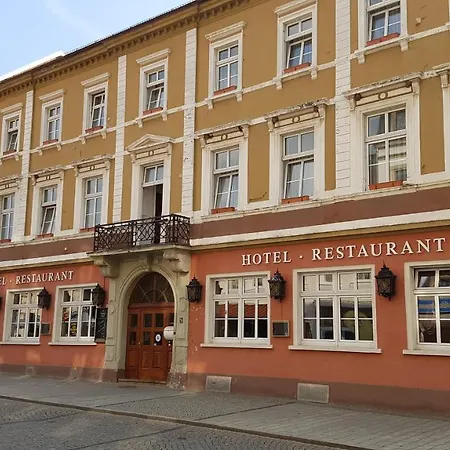 Sachsenhof Hotel Riesa